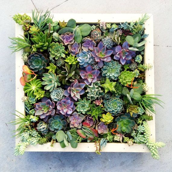 Vertical_succulent_planter